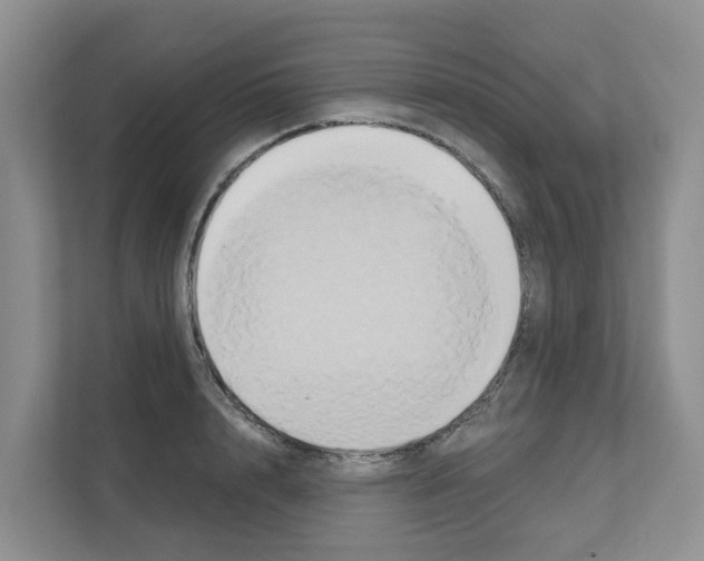 X0000111820848200909031449