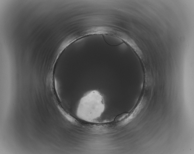 X0000111820850200909031449
