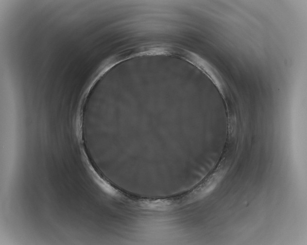 X0000111820851200909031449