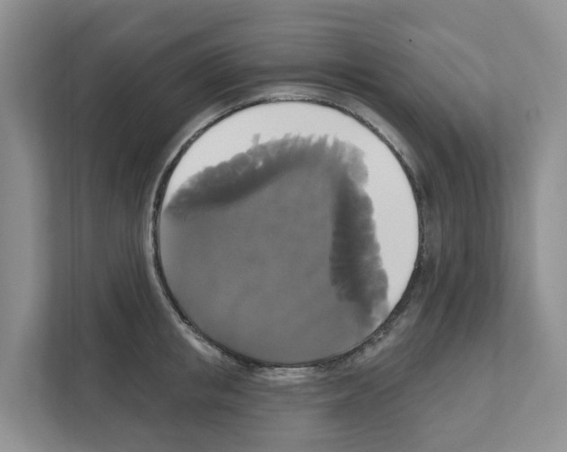 X0000111820853200909031449
