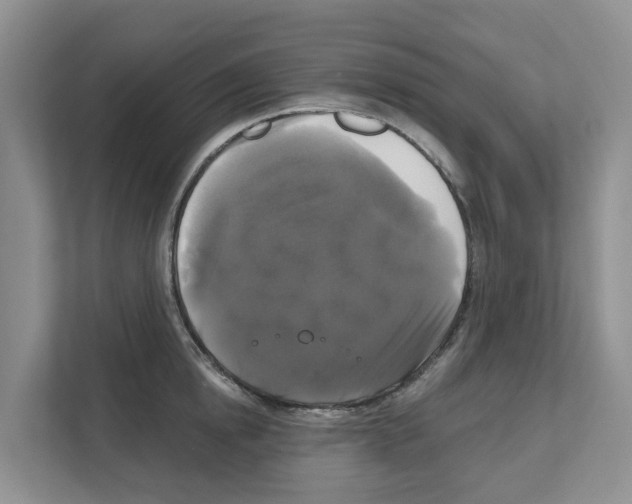 X0000111820854200909031449