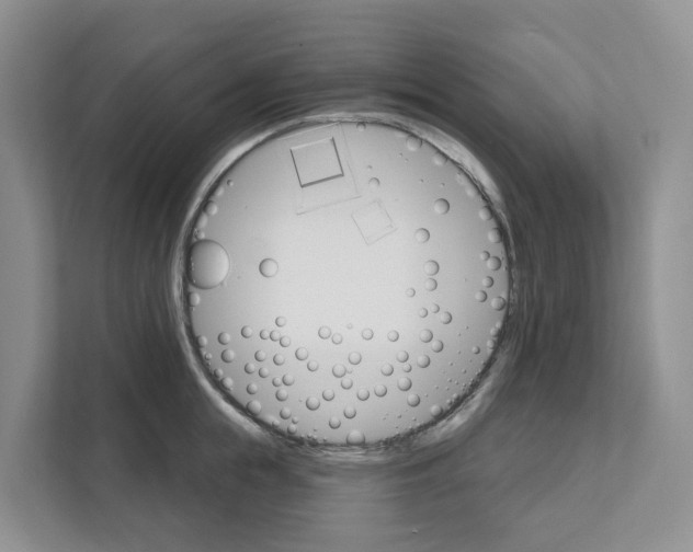 X0000111820855200909031449
