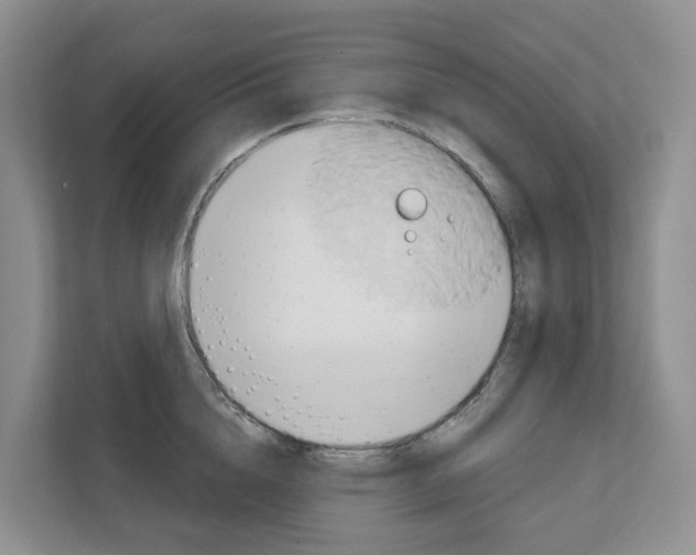 X0000111820856200909031449