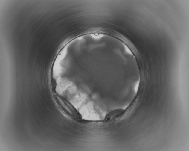 X0000111820858200909031449