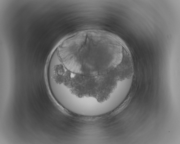 X0000111820859200909031449