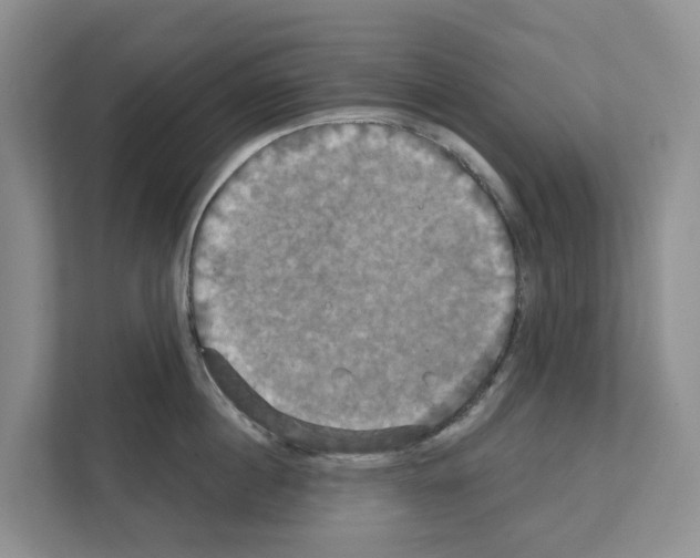 X0000111820860200909031449