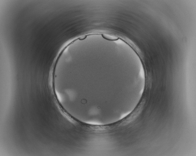 X0000111820862200909031449