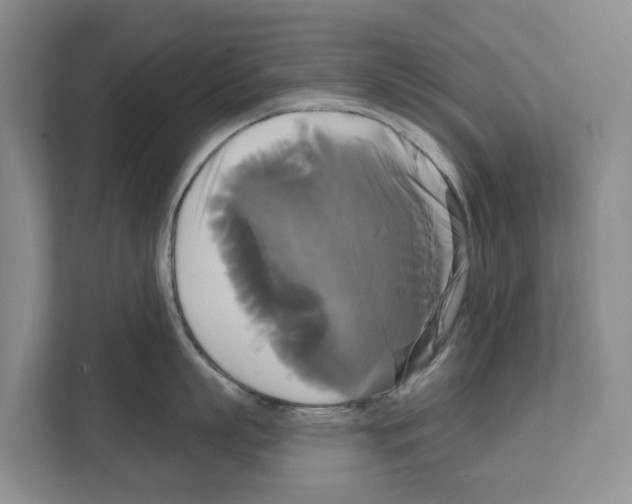 X0000111820863200909031449