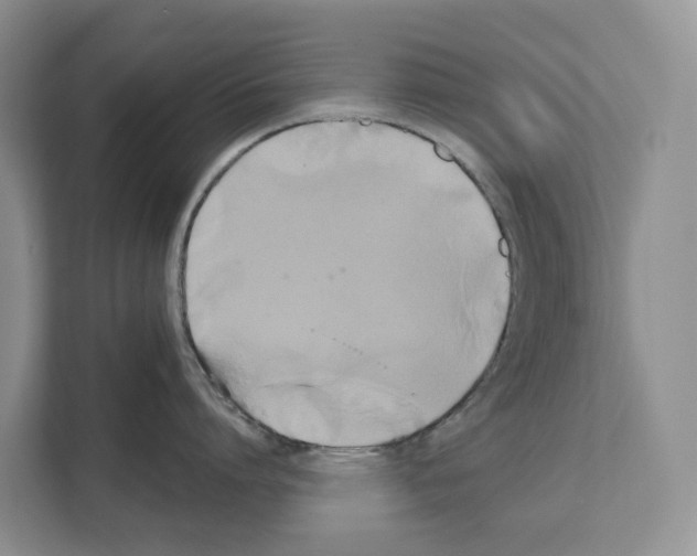 X0000111820864200909031449
