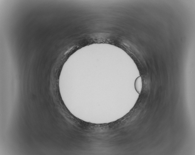 X0000111820865200909031448