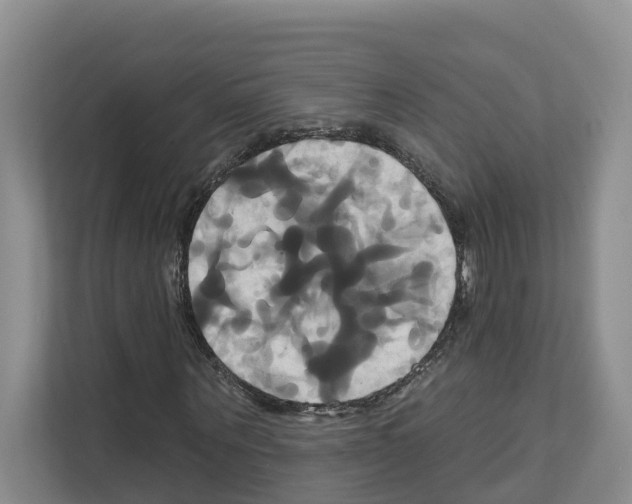 X0000111820867200909031448