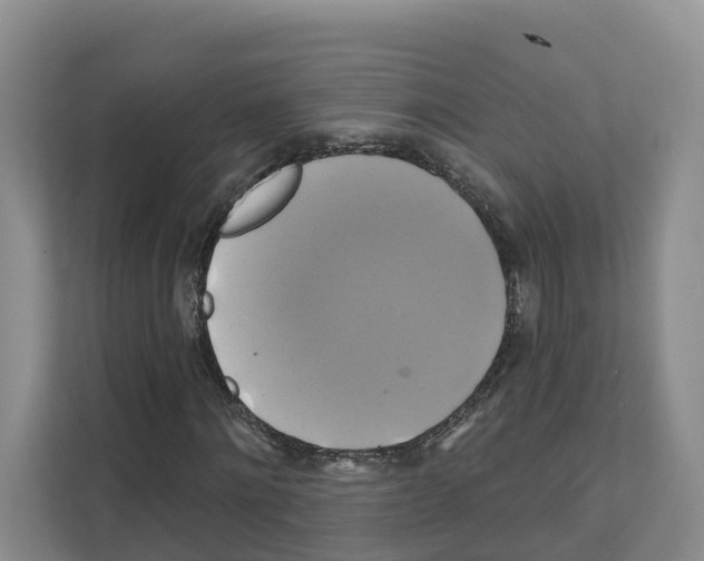 X0000111820868200909031448