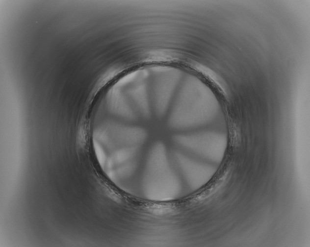 X0000111820874200909031448
