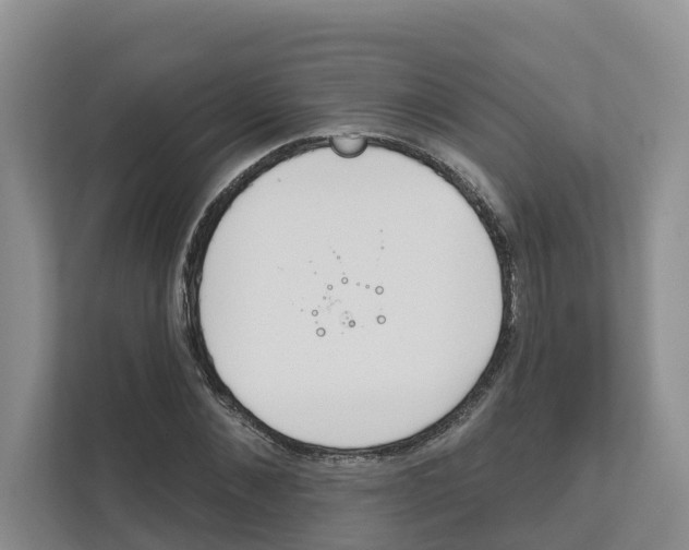 X0000111820876200909031448