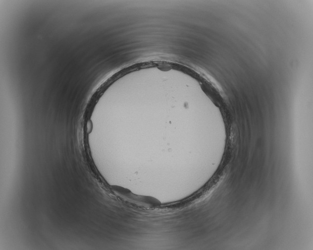 X0000111820877200909031448