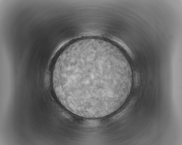 X0000111820878200909031448