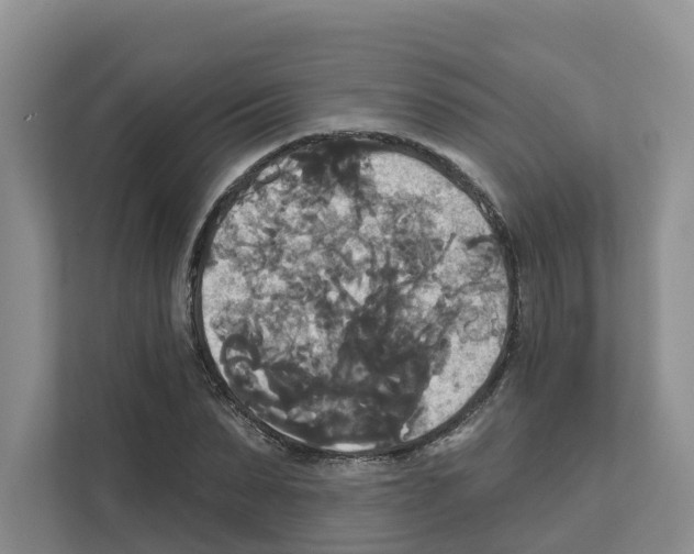 X0000111820879200909031448