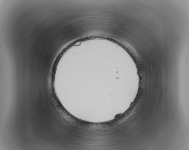 X0000111820880200909031448