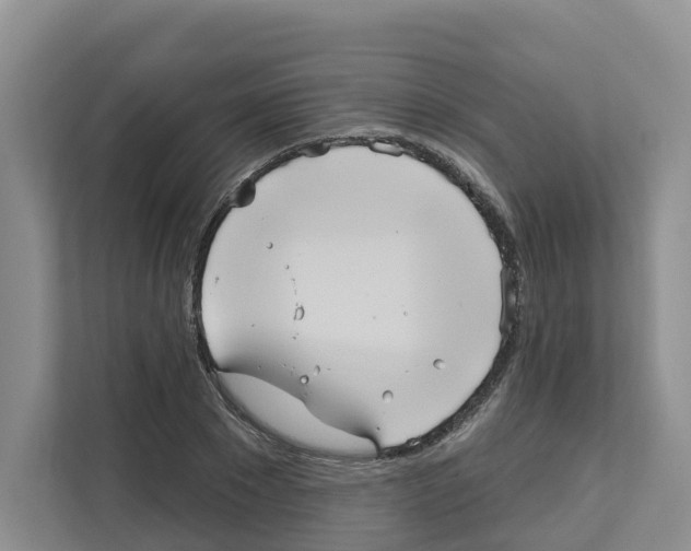 X0000111820881200909031448