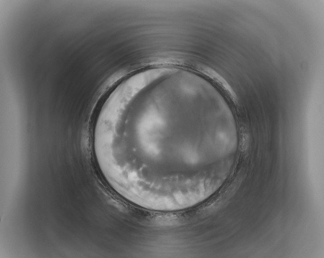 X0000111820882200909031448