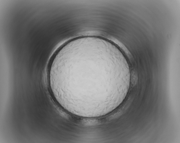 X0000111820886200909031448