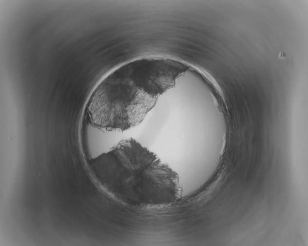 X0000111820887200909031448