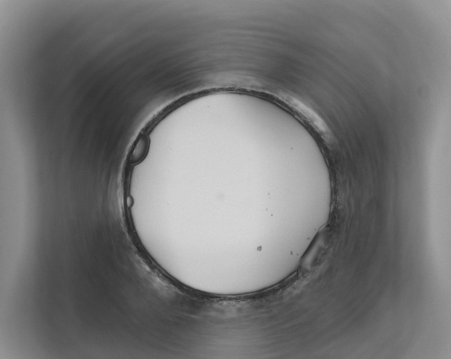 X0000111820888200909031448