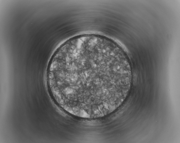 X0000111820895200909031448