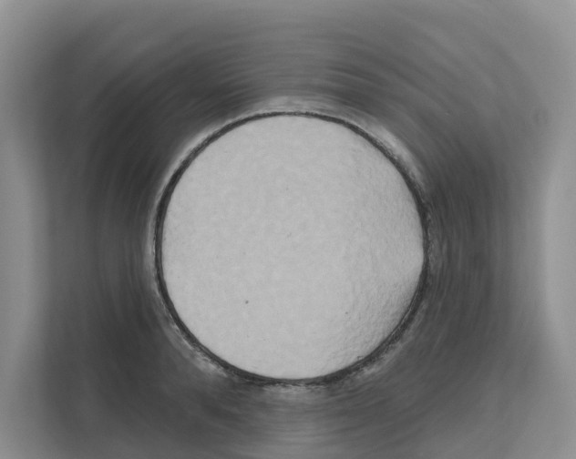 X0000111820896200909031448
