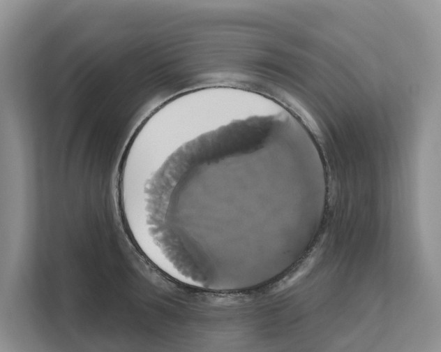 X0000111820899200909031448