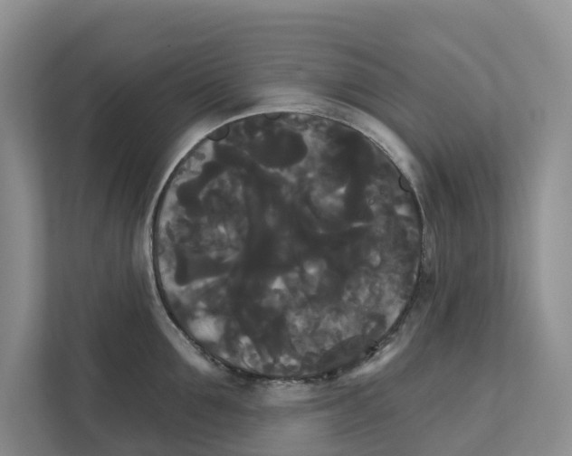 X0000111820907200909031448
