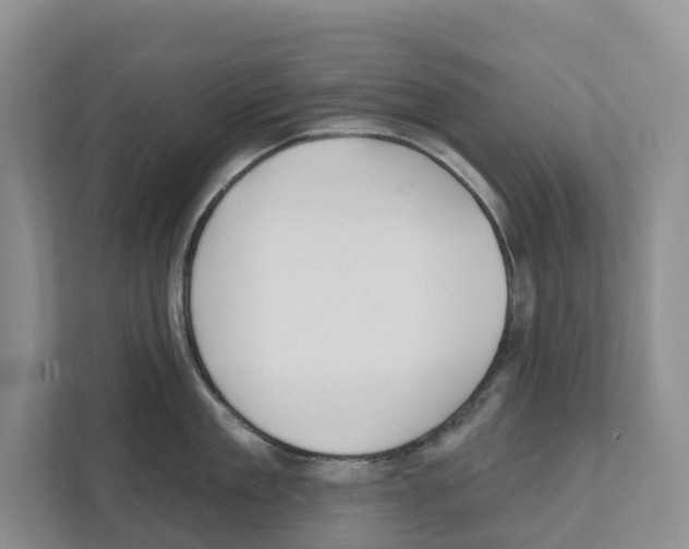 X0000111820909200909031448