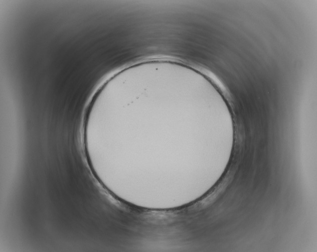 X0000111820910200909031448