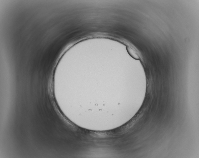 X0000111820911200909031448