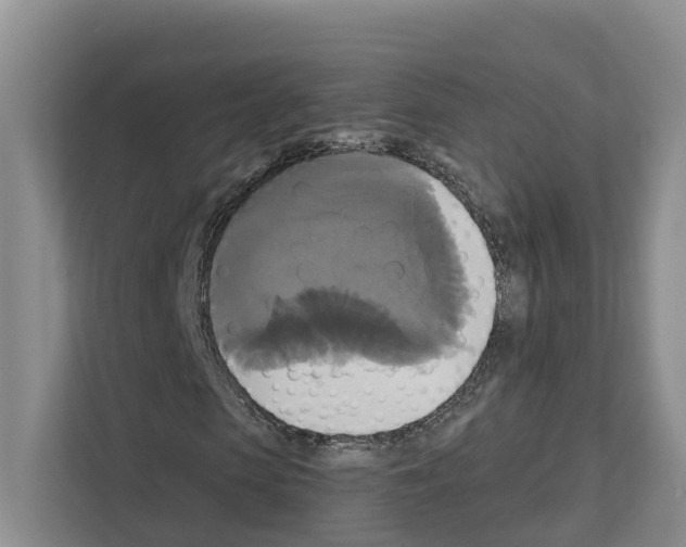 X0000111820913200909031447