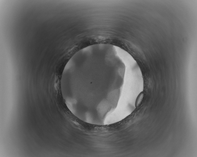 X0000111820914200909031447