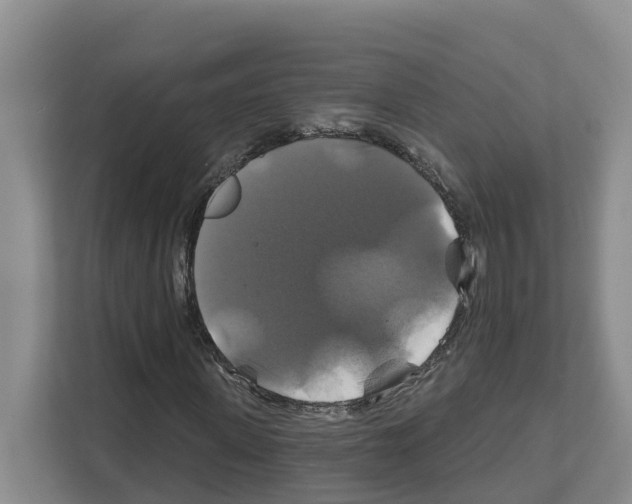 X0000111820915200909031447