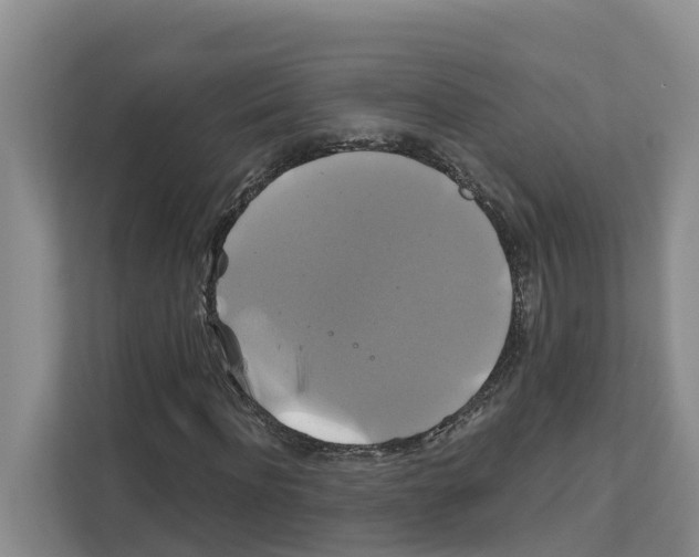 X0000111820916200909031447