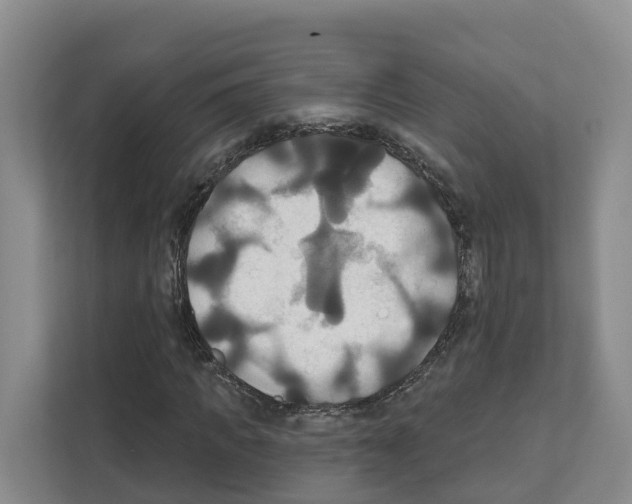 X0000111820917200909031447