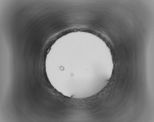 X0000111820920200909031447
