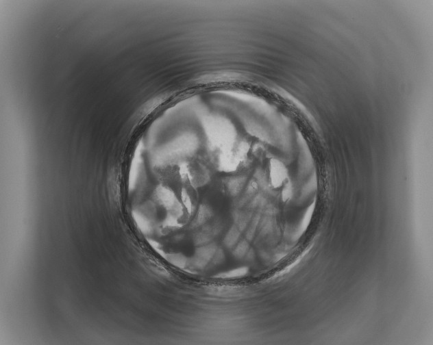 X0000111820921200909031447