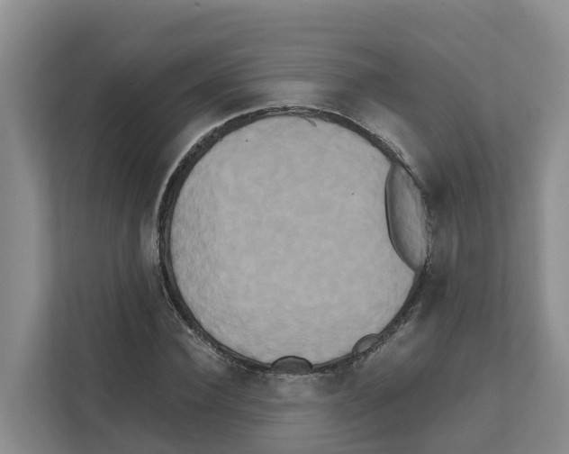 X0000111820924200909031447