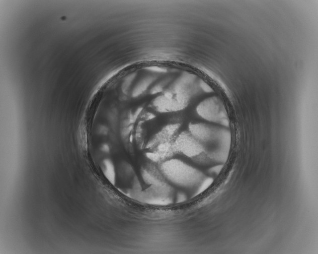 X0000111820925200909031447