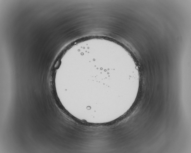 X0000111820926200909031447