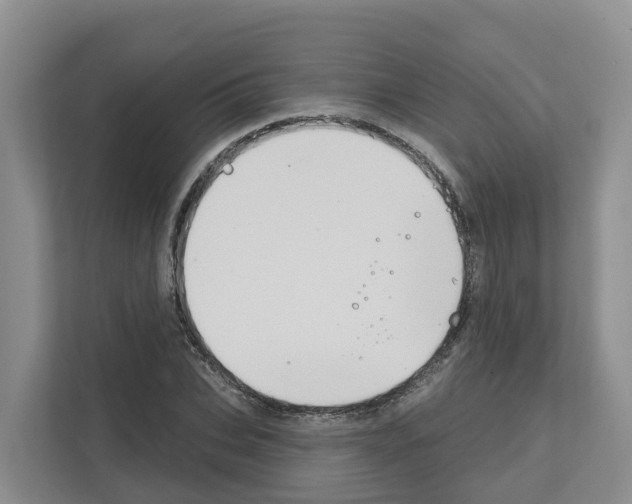 X0000111820927200909031447