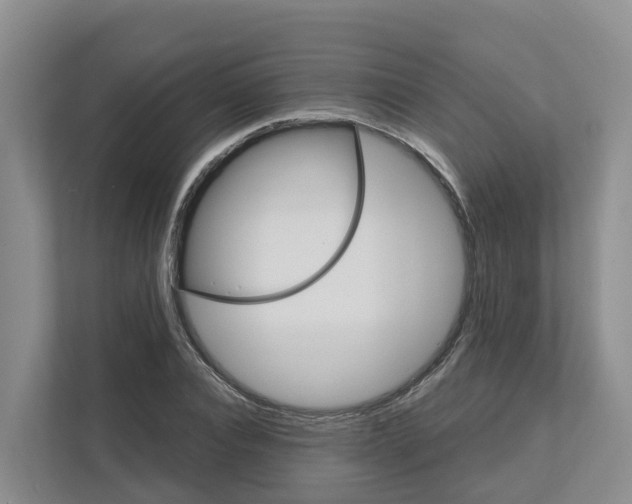 X0000111820928200909031447