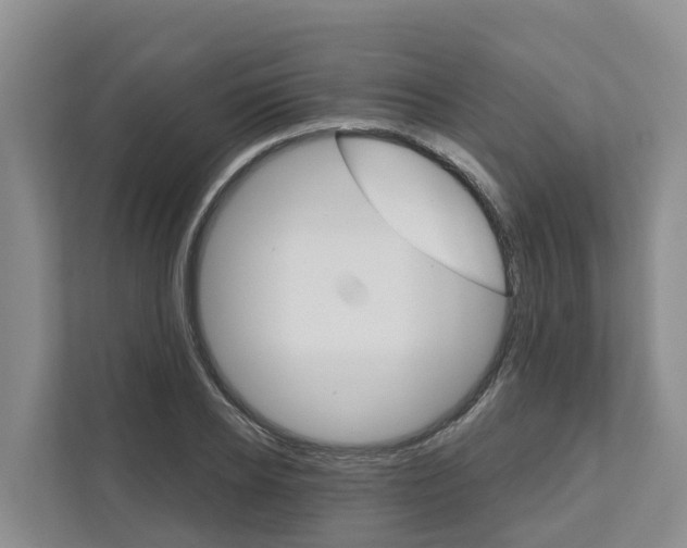 X0000111820934200909031447