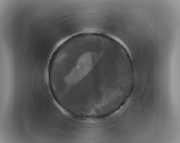 X0000111820935200909031447