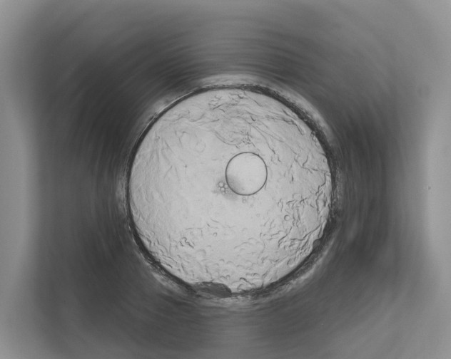 X0000111820937200909031447