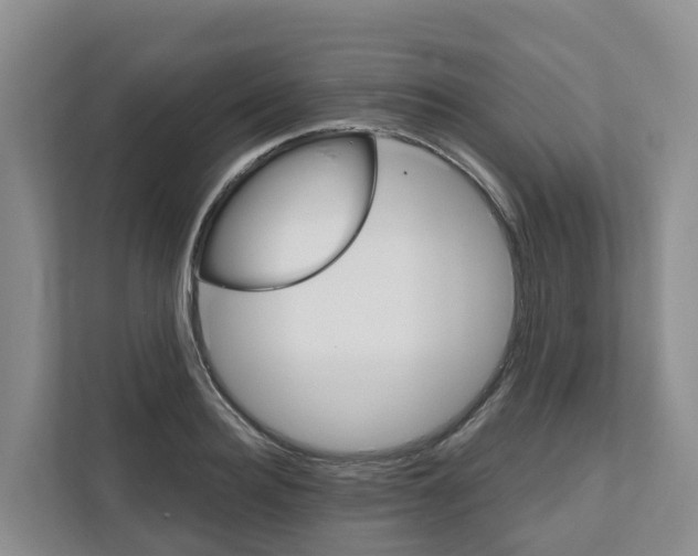 X0000111820940200909031448